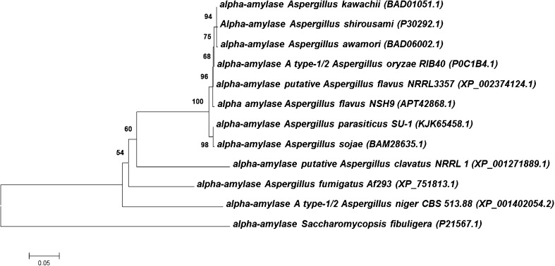 Fig. 8