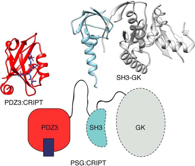 Figure 1.