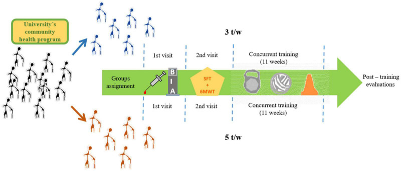 FIGURE 1