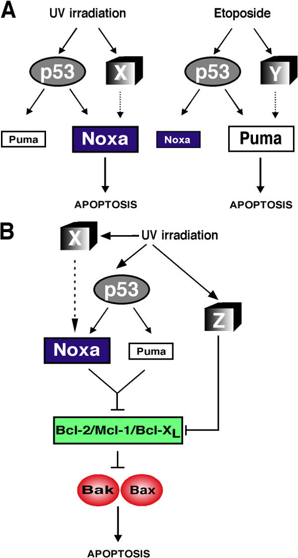 Figure 10.