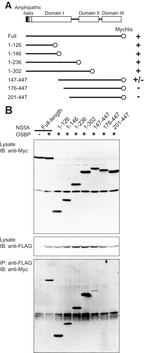 FIG. 5.