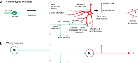 Fig. 6.