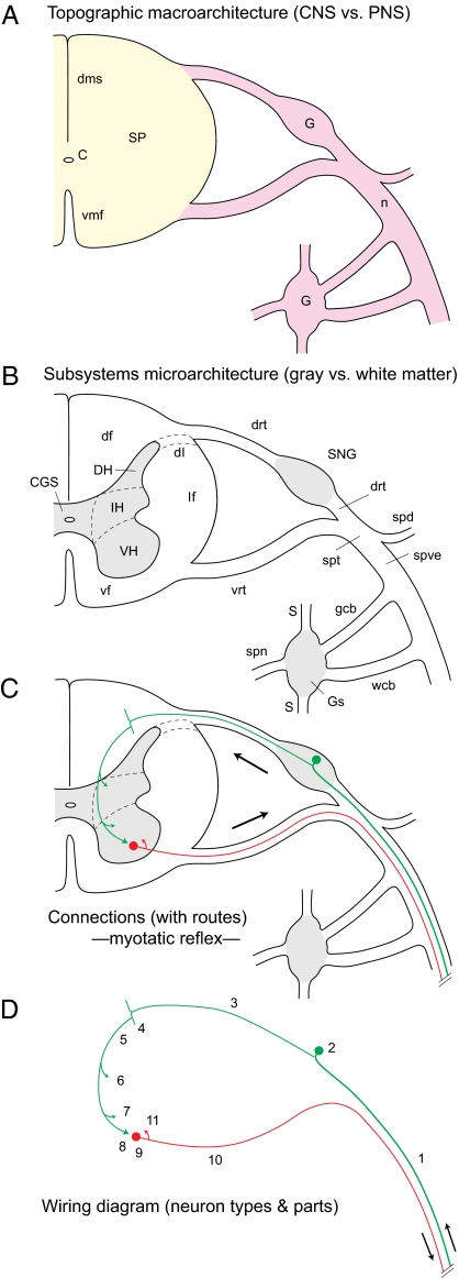 Fig. 5.