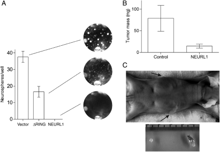 Fig. 4.