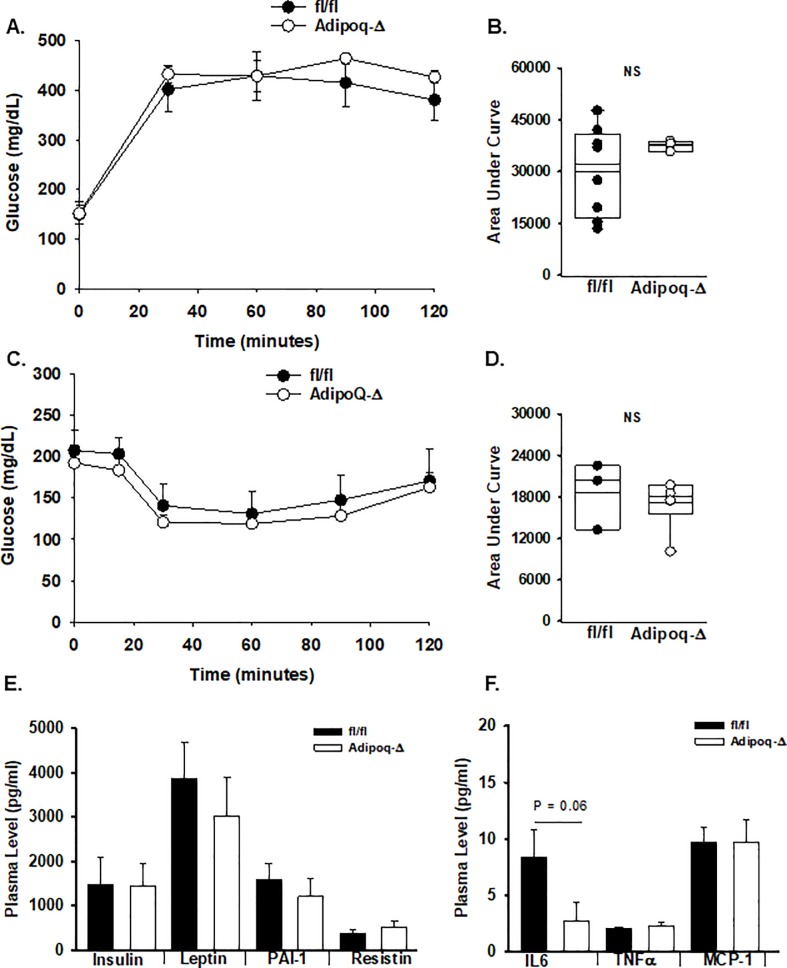 Fig 6