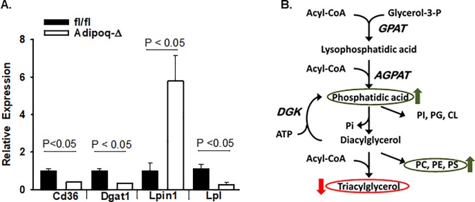 Fig 8