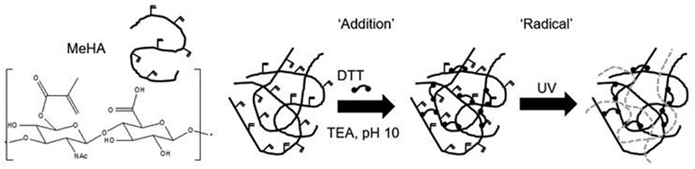 Figure 14.