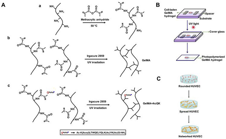 Figure 10.