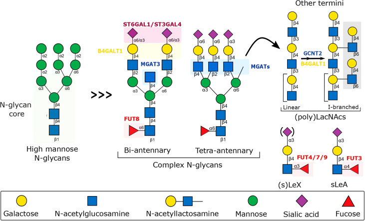 Figure 2