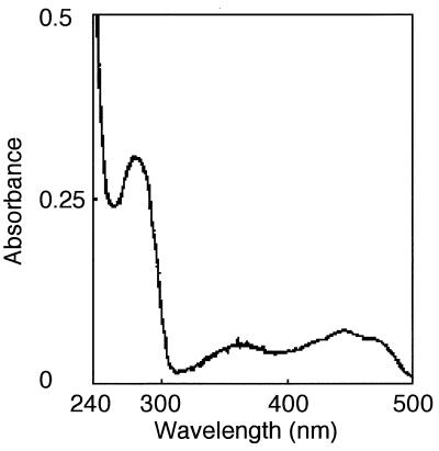 FIG. 1