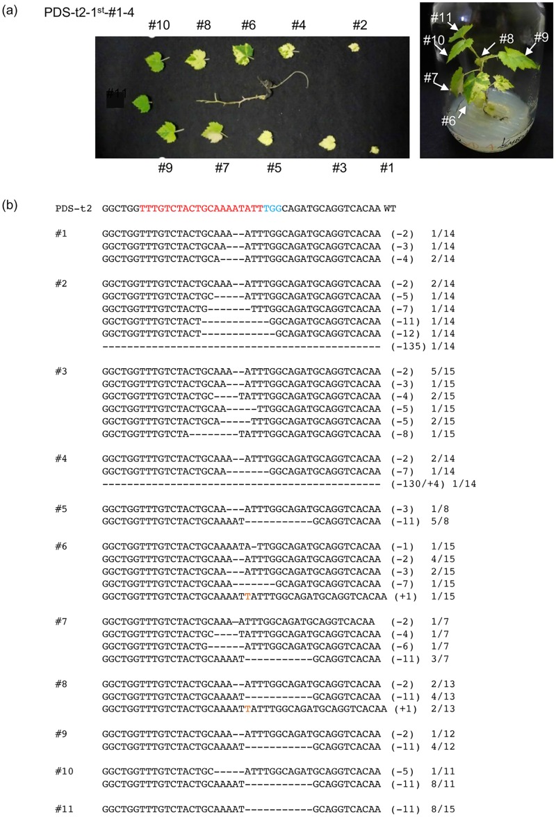 Fig 5