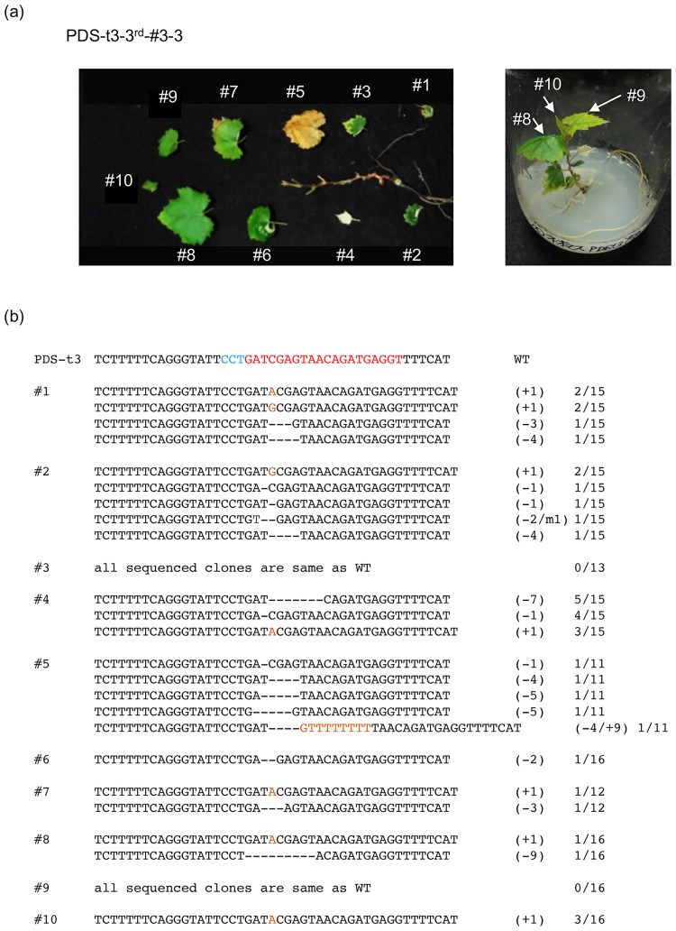 Fig 4