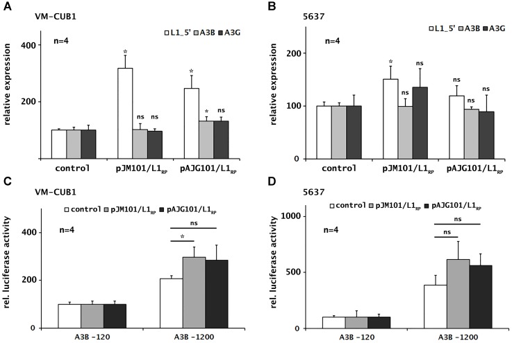 FIGURE 3