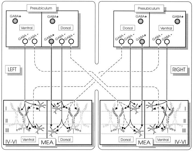 Fig. 9.