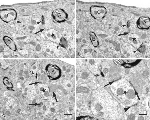 Fig. 8.