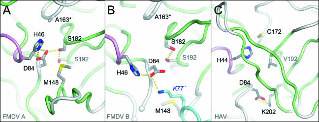 FIG. 2.