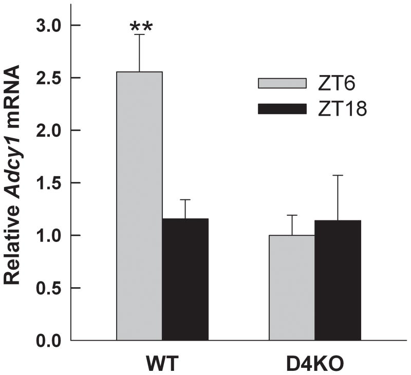 Fig. 4