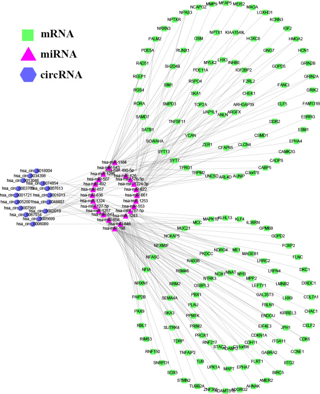 FIGURE 4