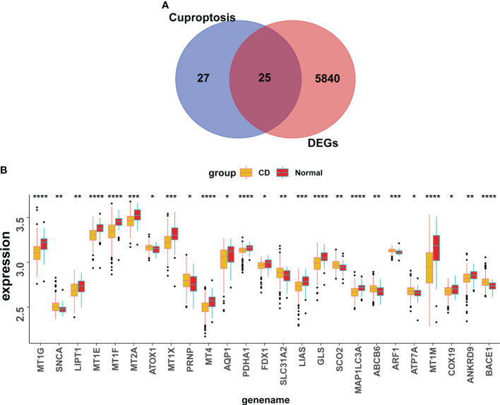 Figure 4