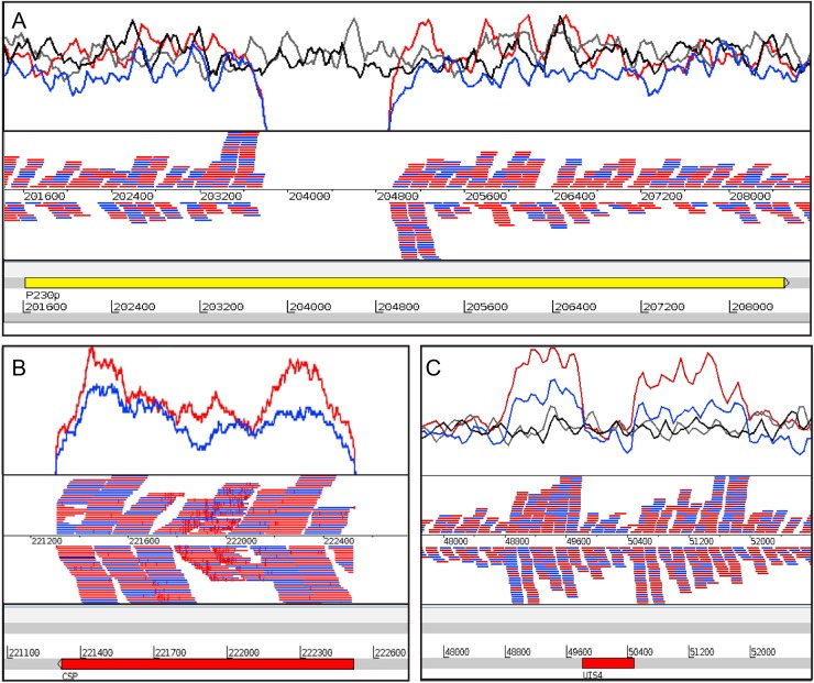 Fig. 2