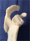 Fig. 10