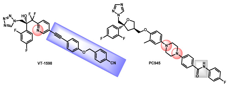 Figure 20