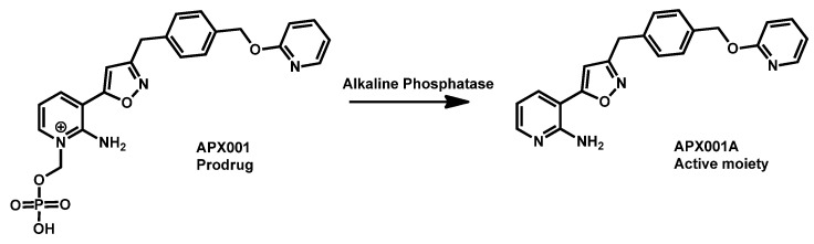 Scheme 4