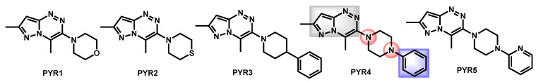 Figure 17