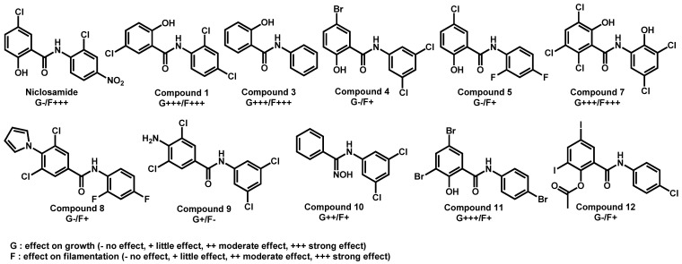 Figure 12