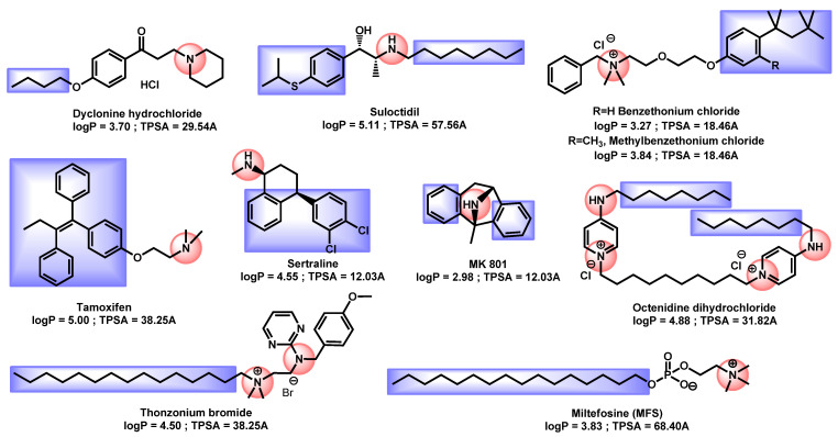 Figure 7