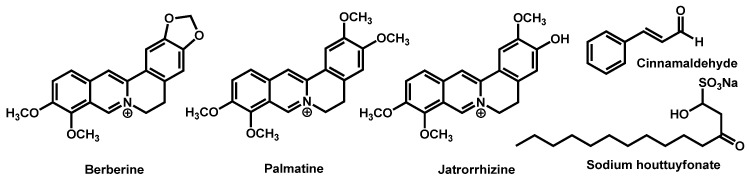 Figure 24