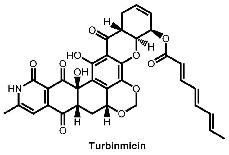 Figure 25