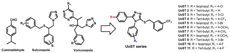 Figure 14