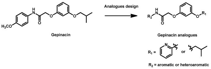 Scheme 5