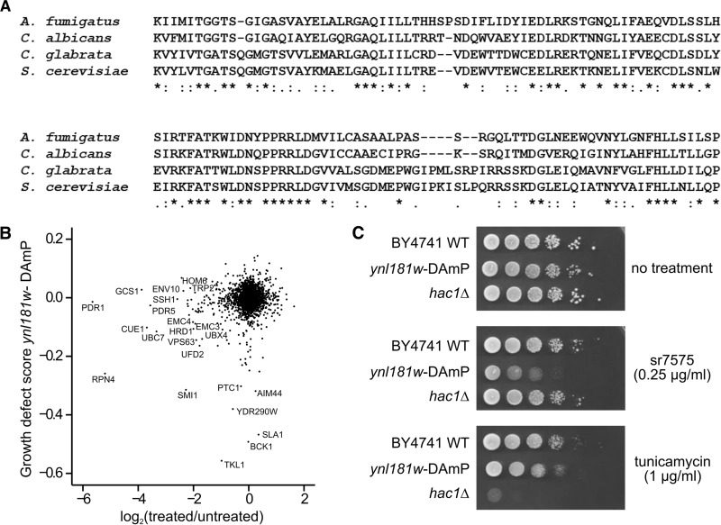 FIG 6