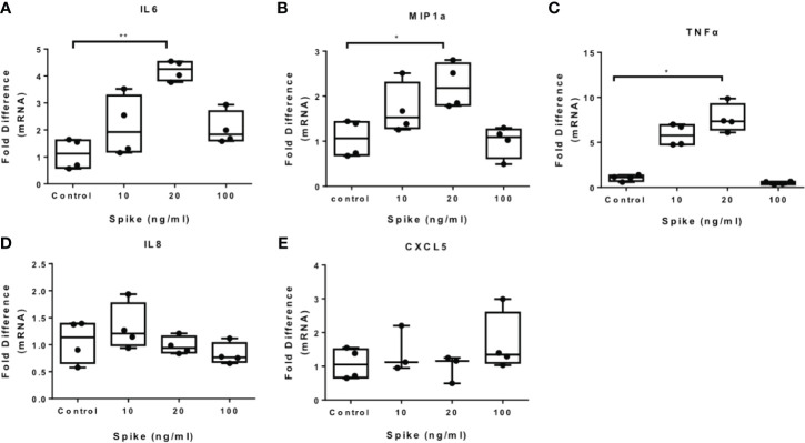 Figure 1