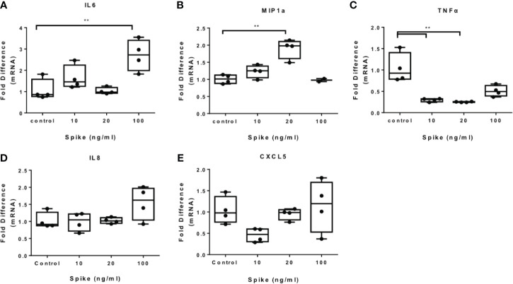 Figure 2