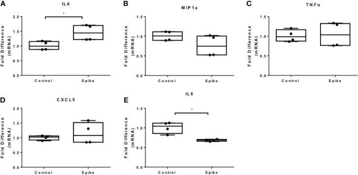 Figure 3