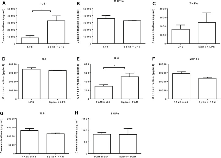 Figure 4