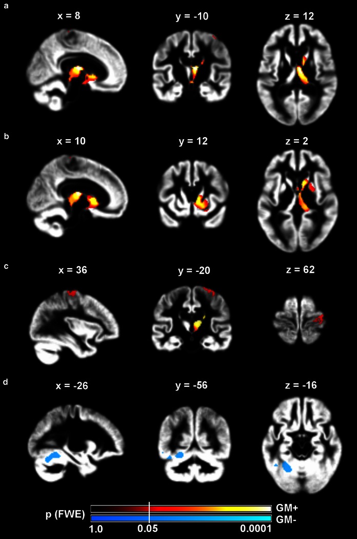 Fig. 3