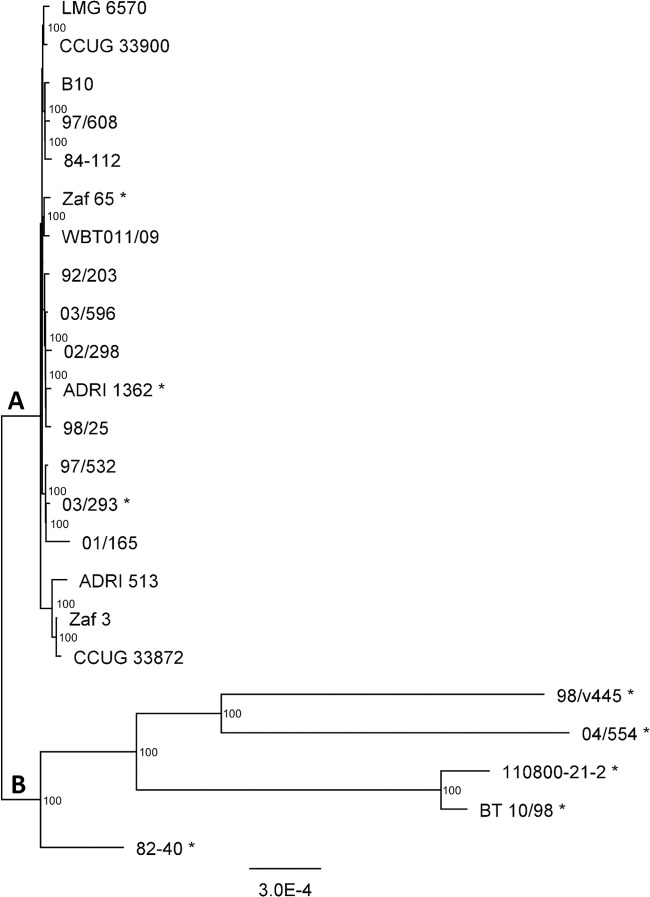 FIG 1