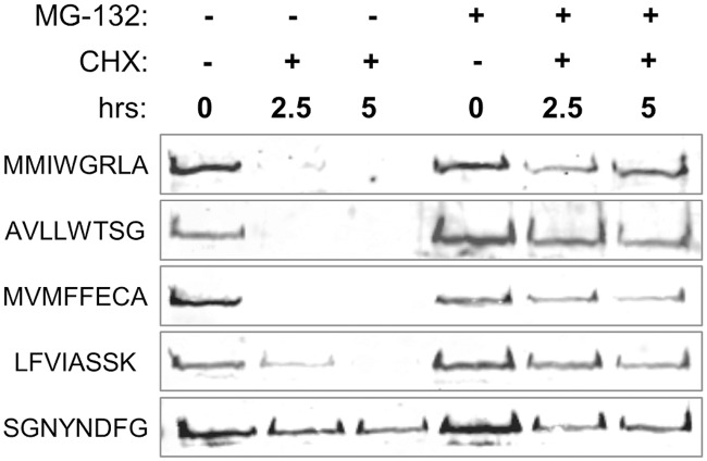 Fig 5