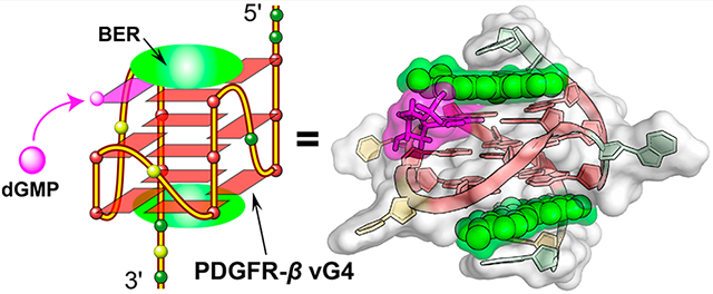 graphic file with name nihms-1755726-f0008.jpg