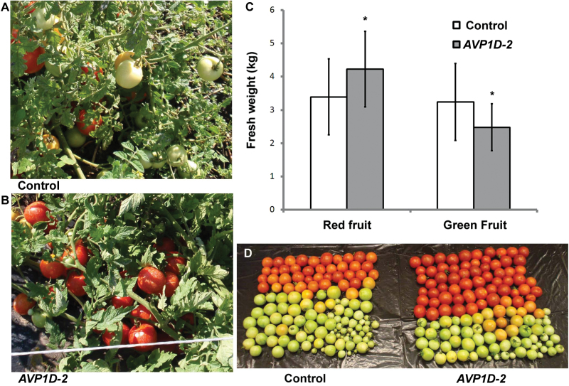 Fig. 4.