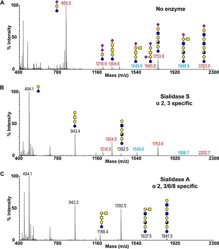 FIGURE 4.