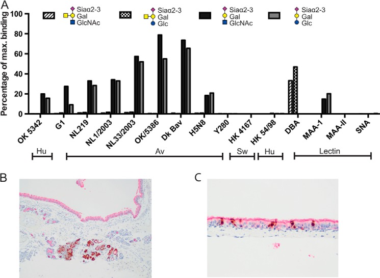 FIGURE 11.