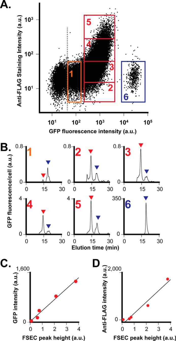 FIGURE 3.