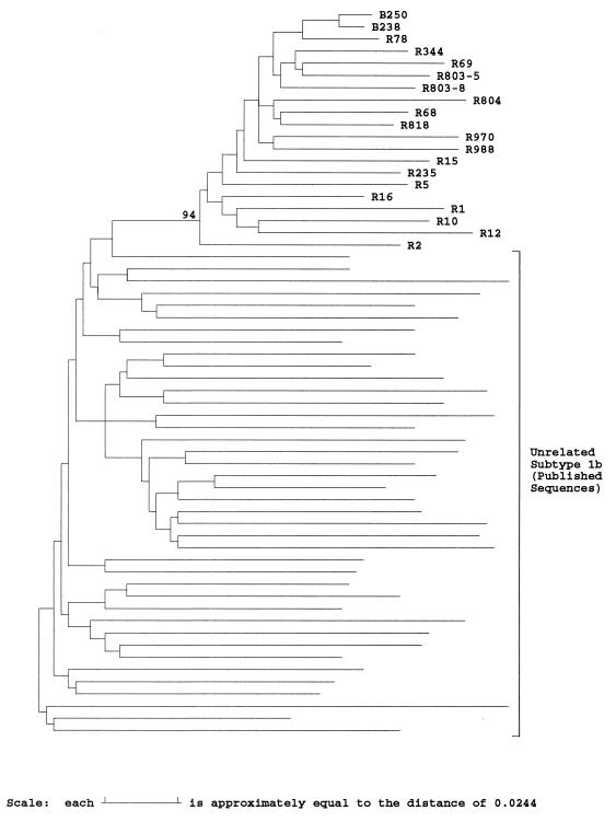 FIG. 1