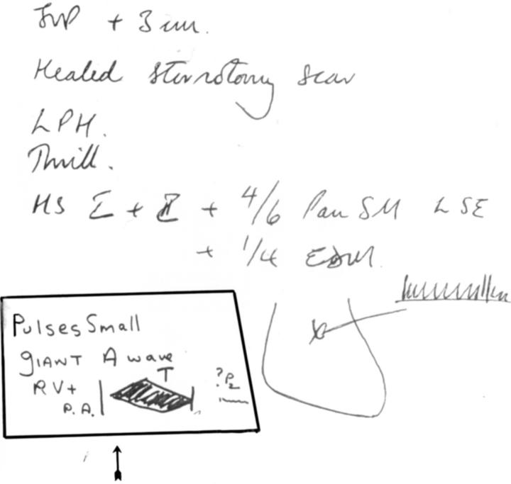 Figure 3  