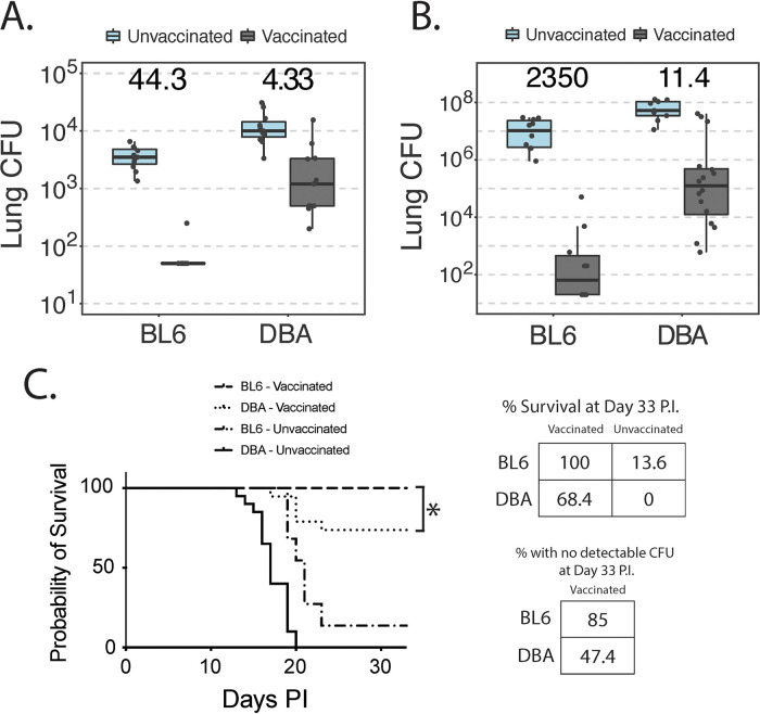 FIG 6